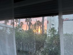 247-16-01-2026 IMG_3452